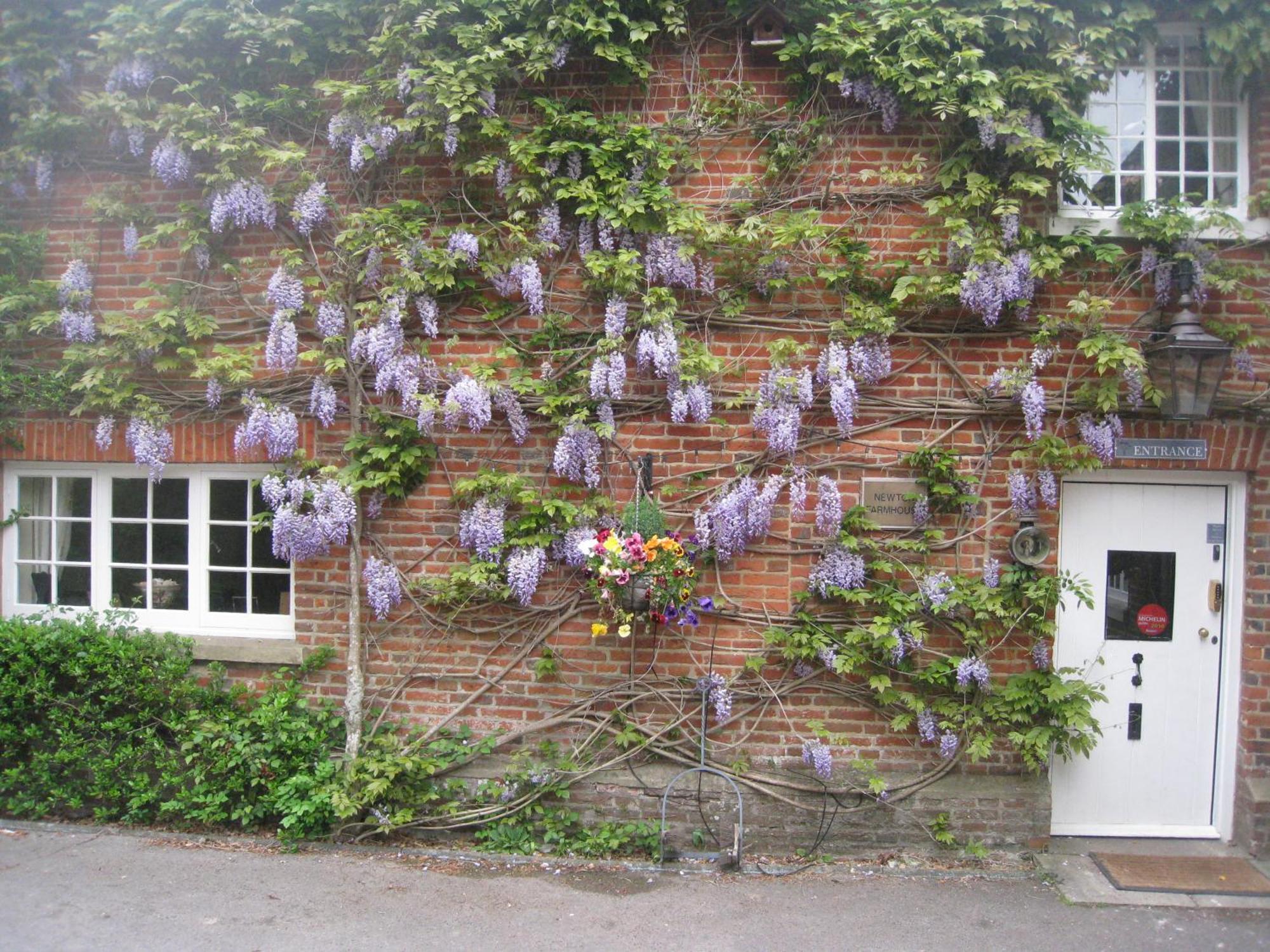 Newton Farmhouse Whiteparish Exterior photo